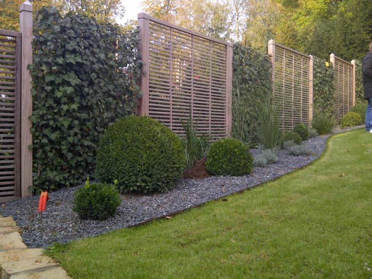 Hecke . Zaun . Sichtschutz alex gartenbau