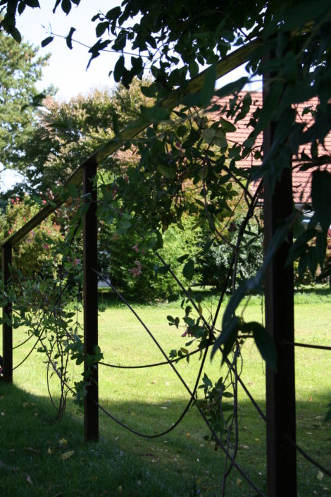 Hecke . Sichtschutz . Zaun – alex gartenbau