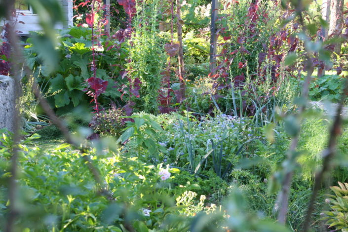 Nutzgarten Gemüsegarten