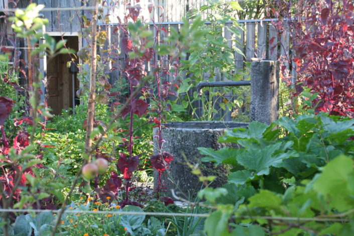 Nutzgarten Brunnen