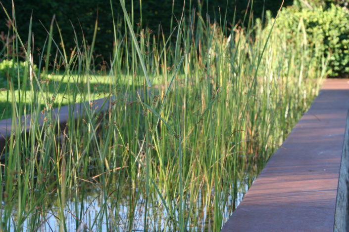 Wasser im Garten