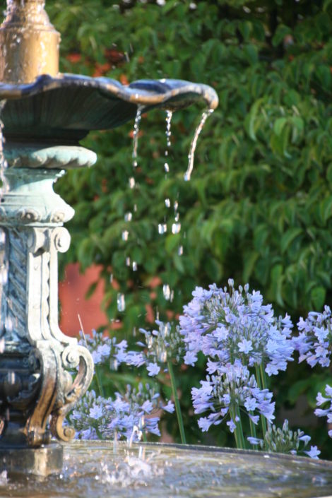 Wasser im Garten