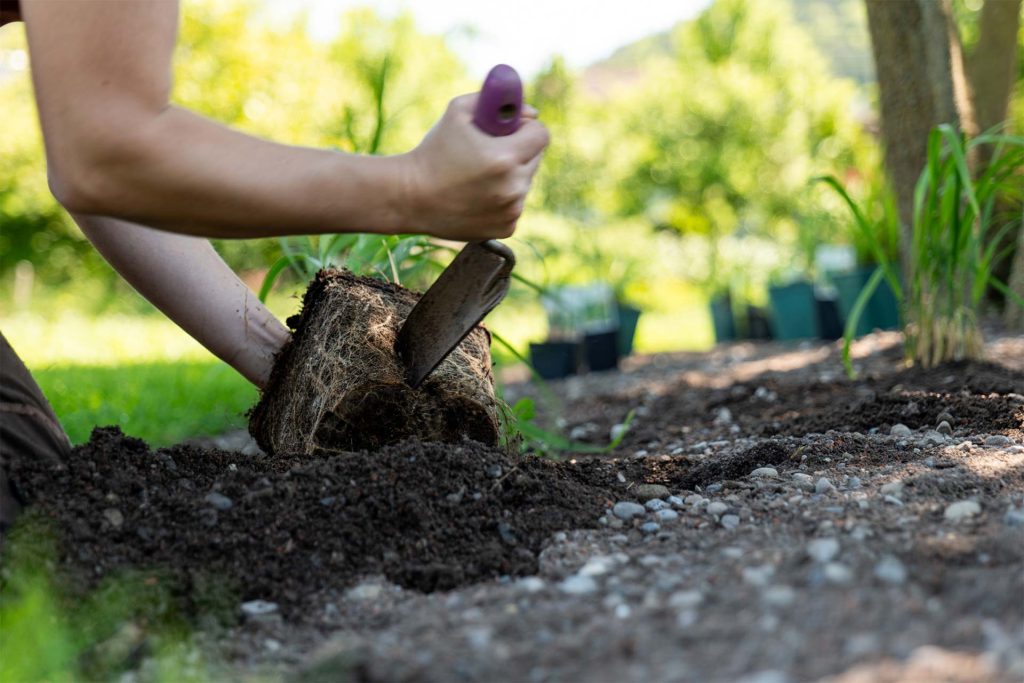 Bepflanzung mit Handschaufel