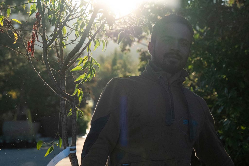 Gärtner alex gartenbau