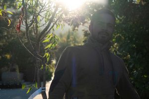 Gärtner alex gartenbau