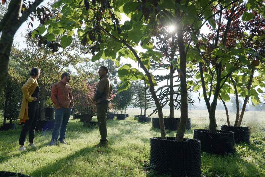 Drei Personen in einer Baumschule mit Bäumen