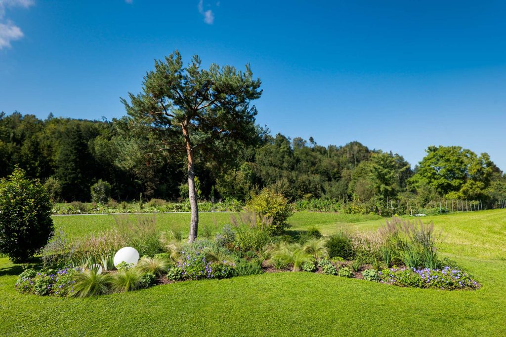 Pflanzen Garten Göfis