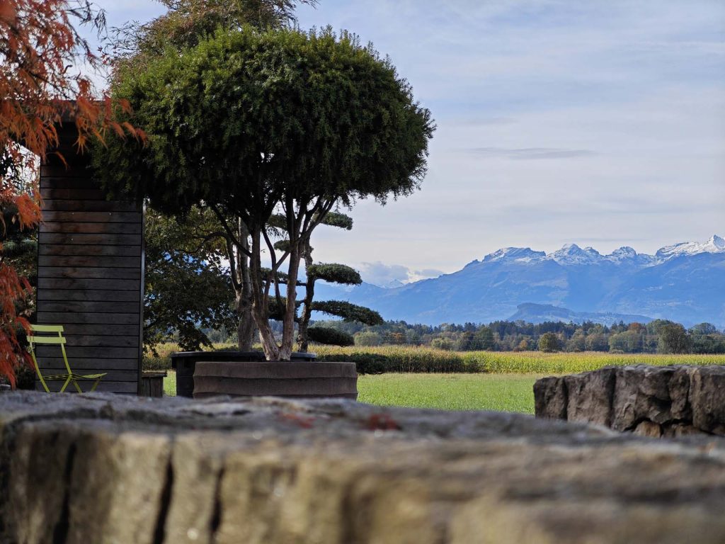 Landschaft mit Baum und Bergen