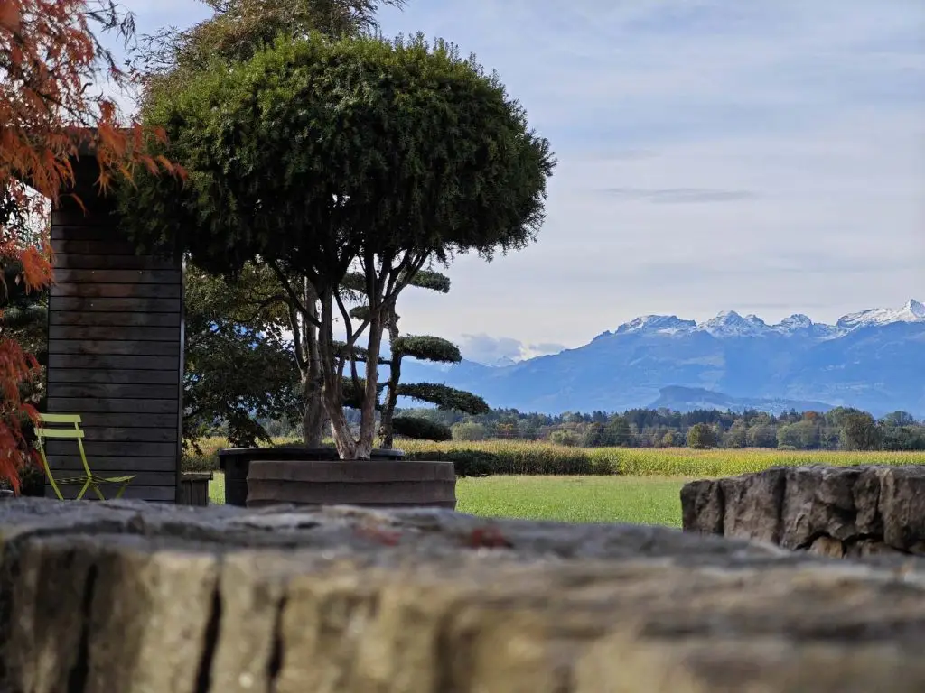Landschaft mit Baum und Bergen